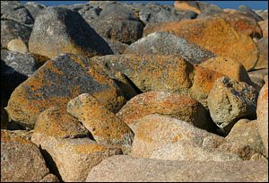  IMG_1404-sm.jpg 