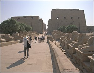 Avenue of the Rams and main entrance.